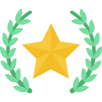 100% Best Quality